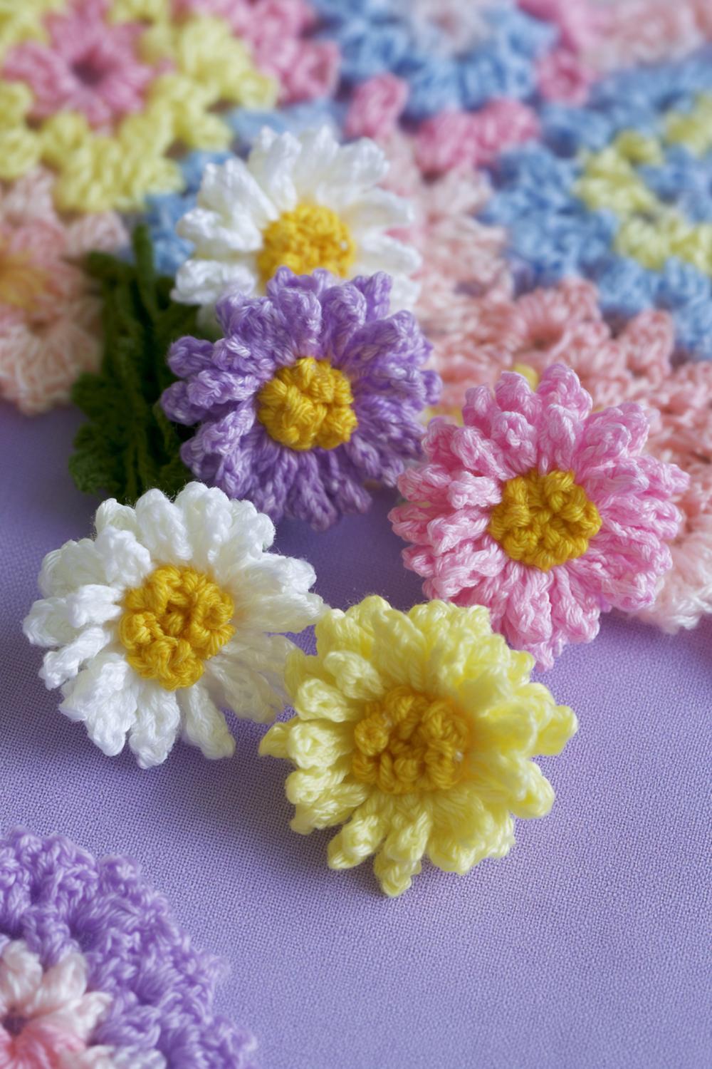 Bunte Gänseblümchen Kollektion