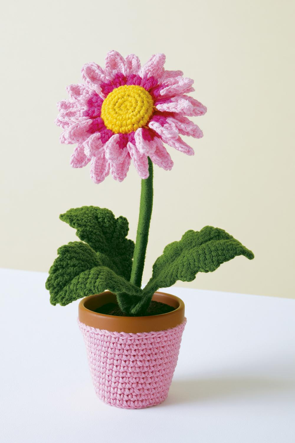 Gerbera im Töpfchen