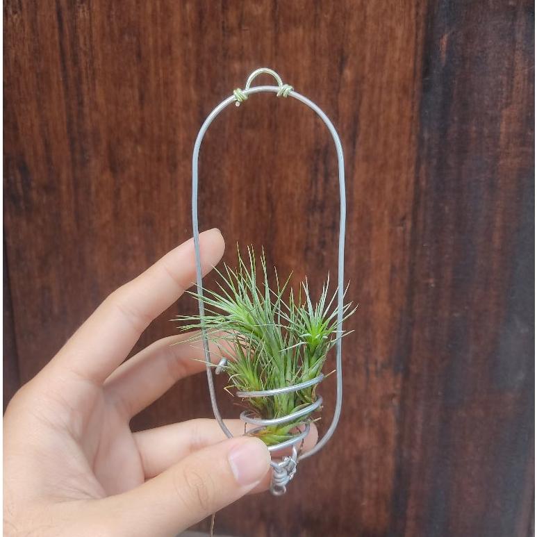 Pflanzenhalter aus Kleiderbügel