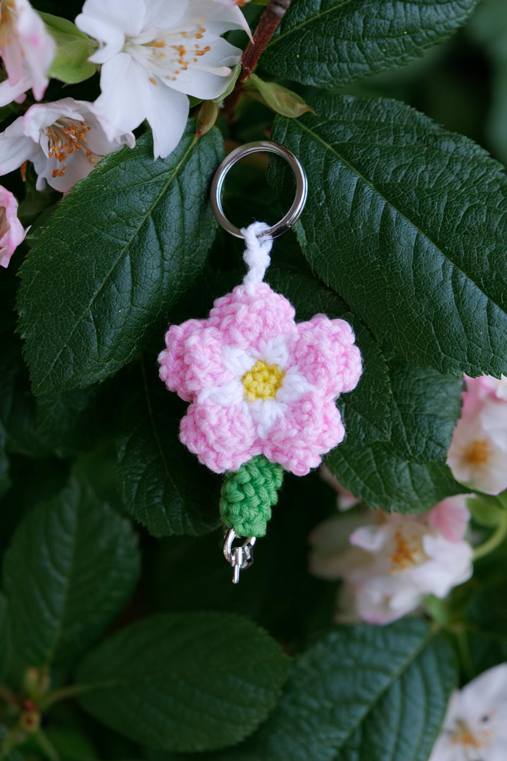 Zarte Frühlingsblüte
