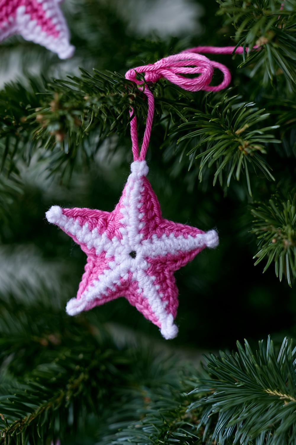 Rosa Stern am Tannenbaum
