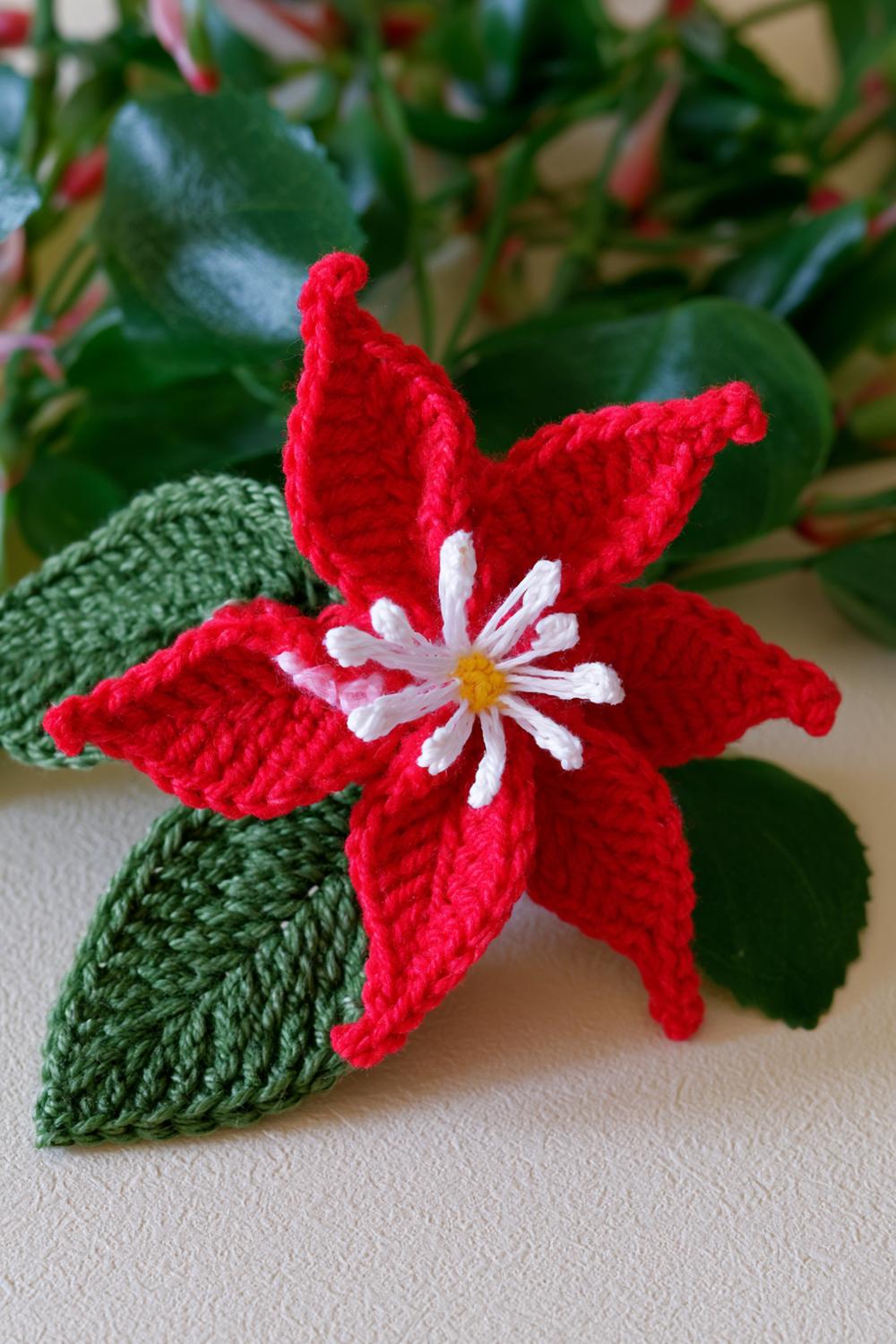 Rote Blüte mit weißer Mitte